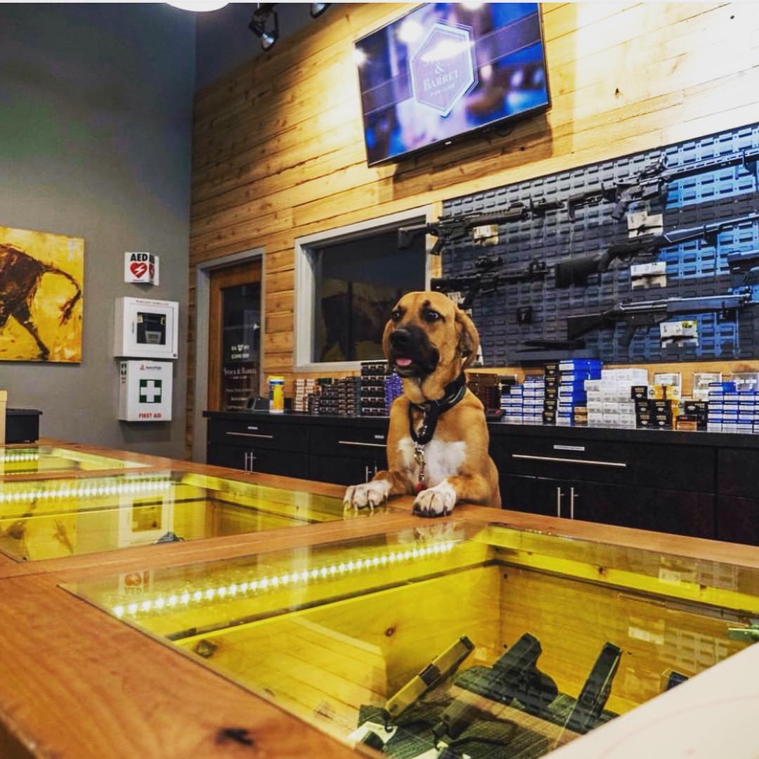 Stock & Barrel Gun Club Chooses AXIS for MultiStore and Range Management